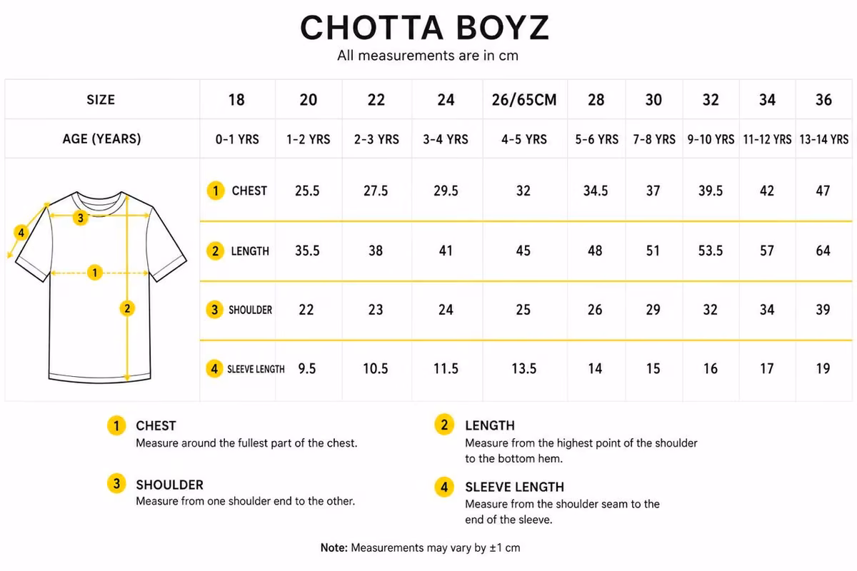 Boys Casual Polo Neck Half Sleeve T-Shirt - view 3