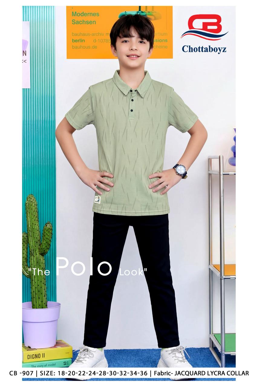 Boys Casual Polo Neck Half Sleeve T-Shirt