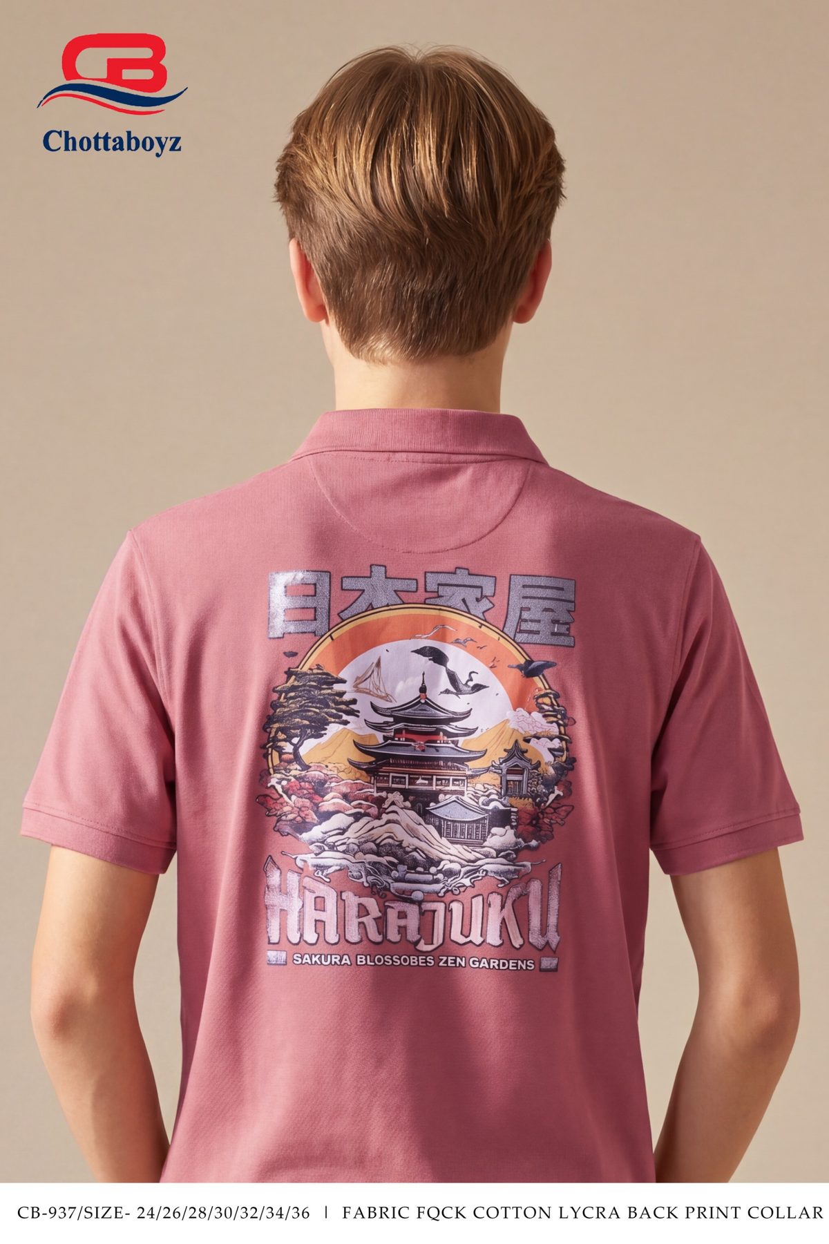 Boys Polo Collar Half Sleeve T-Shirt - CB-937